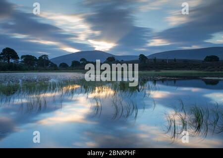 Wald lochan bei Sonnenaufgang, Abernethy National Nature Reserve, Cairngorms National Park, Schottland, September 2014. Stockfoto