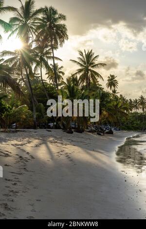 Karibik, große Antillen, Dominikanische Republik, Samaná, Las Galeras, Sonnenuntergang am Strand Playa Grande in Las Galeras Stockfoto