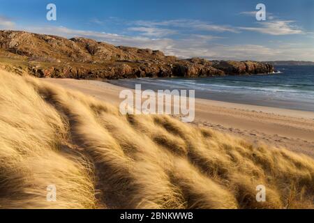 Oldshoremore Strand und Dünen im Abendlicht, Kinlochbervie, Sutherland, Schottland, UK, April 2014. Stockfoto