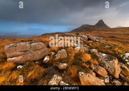 Moore, Schottland, UK, November 2013. Stockfoto