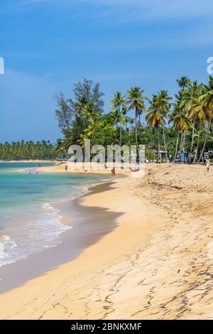 Amerika, Karibik, große Antillen, Dominikanische Republik, Samaná, Las Terrenas, Blick über den feinen Sandstrand von Playa Punta Popy Stockfoto