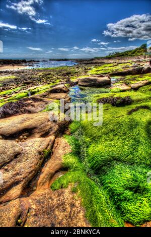 Town of Crail, Schottland. Künstlerische Sicht auf die felsige Küste von Roome Bay, in der Fife Stadt Crail. Stockfoto