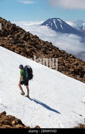 Ein Kletterer steigt einen schneebedeckten Hang auf dem Mount Ruapehu an, im Hintergrund ist der Mount Ngauruhoe zu sehen, Tongariro National Park, Neuseeland Stockfoto