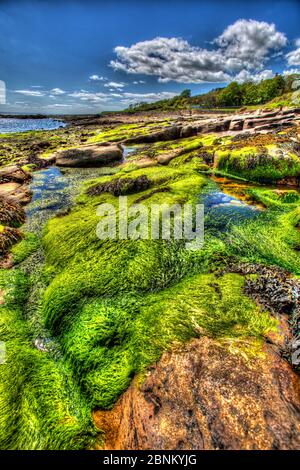 Town of Crail, Schottland. Künstlerische Sicht auf die felsige Küste von Roome Bay, in der Fife Stadt Crail. Stockfoto