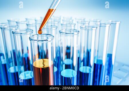 Reagenzgläser mit orangefarbener oder blauer Flüssigkeit in einem Halter. Glas mit einem Tropfen darüber fallen lassen. Prüflabor, SARS-CoV-2-Test, chemische Prüfeinrichtung, m Stockfoto