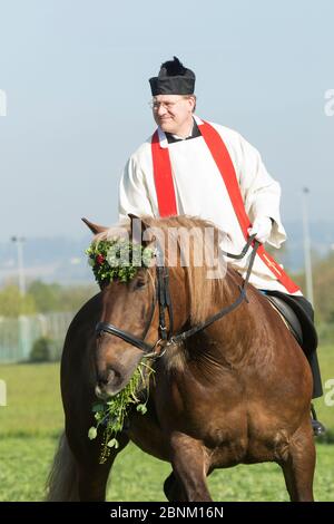 Priester-Reitpferd in Blutritt, der größten europäischen Prozession mit rund 3,000 Reitern, Weingarten, Baden-Württemberg, Deutschland. Stockfoto