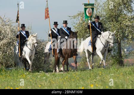 Der Blutritt (das Recht des Blutes) ist die größte europäische Prozession mit etwa 3,000 Fahrern, Weingarten, Baden-Württemberg, Deutschland. Mai 2016. Stockfoto