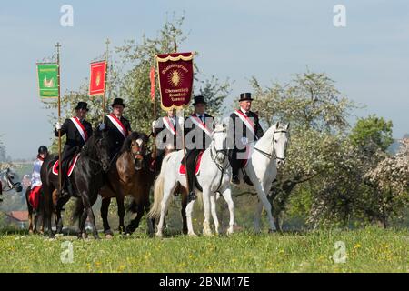 Der Blutritt (das Recht des Blutes) ist die größte europäische Prozession mit etwa 3,000 Fahrern, Weingarten, Baden-Württemberg, Deutschland. Mai 2016. Stockfoto