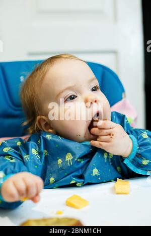 Ein kleines Kind sitzt in einem Futterstuhl und isst zum ersten Mal Brot. Gesicht in Krümel Stockfoto