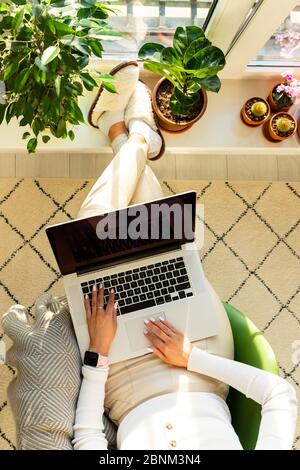 Frau, die auf dem Sessel sitzt und die Füße auf die Fensterbank legt, mit Zimmerpflanzen in Blumentopf, arbeitet zu Hause während der Selbstisolation am Laptop. Busin Stockfoto