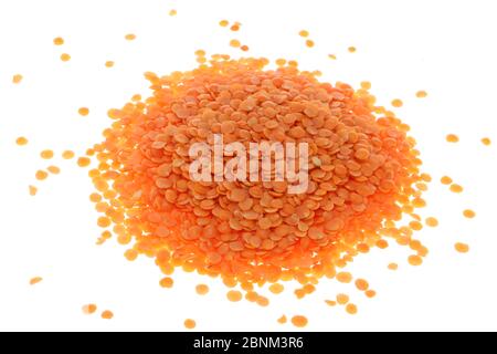 Nahaufnahme der Linse Orange Masoor Dal (Red Chief) auf weißem Hintergrund mit Löffel isoliert. Stockfoto