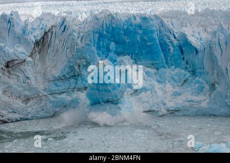 Eis kalbung von Perito Moreno Gletscher, Nationalpark Los Glaciares, Santa Cruz, Patagonien, Argentinien. Februar 2010. Stockfoto