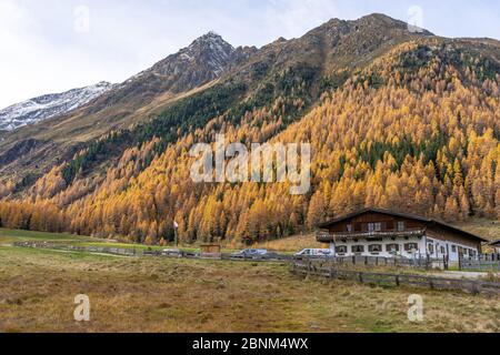 Europa, Österreich, Tirol, Stubaier Alpen, St. Sigmund im Sellrain, Blick auf die herbstliche Bergwelt der Schärmer Alm in Haggen im Sellrain Stockfoto