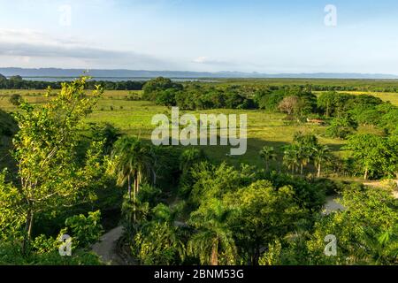 Karibik, große Antillen, Dominikanische Republik, Samaná, Los Haitises Nationalpark, Blick über den Los Haitises Nationalpark in der Dominikanischen Republik Stockfoto