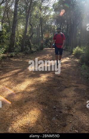 Europa, Spanien, Katalonien, Costa Brava, Palamós, Wanderer auf dem Camí de Ronda Fernwanderweg auf dem Weg nach Palamós im Wald von Cap Roig Stockfoto