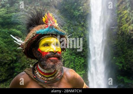 HARO Ngibe Huli Wigman in traditionellem / zeremoniellem Kleid mit Federn von Paradiesvögeln, Zwergkasuar, Papageien und Lorikeets. Tari Valley, Papua Stockfoto