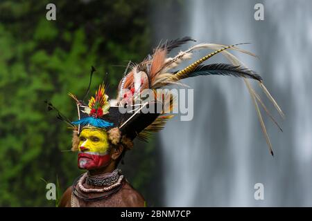 Timon Tumbu Huli Wigman in traditioneller Kleidung mit Federn von Paradiesvögeln, Papageien und Lorikeets. Tari Valley, Papua-Neuguinea. Stockfoto