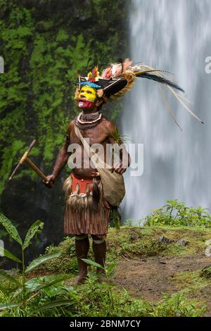 Chief Timon Tumbu Huli Wigman in traditionellen/zeremonielle Kleid mit Federn von Vögeln, Paradies, Papageien und fledermauspapageien. Tari Tal, Papua-Neuguinea Stockfoto