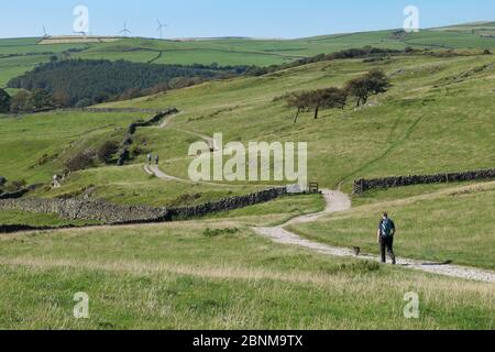 Wanderer auf dem beliebten Hoad Monument Pfad in Ulverston im Süden Cumbria, England, nahe dem Rand des Lake District National Park Stockfoto