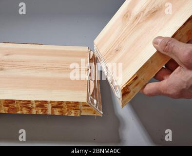 Bau eines Holzregals, Do-it-yourself-Produktion, Schritt für Schritt, Schritt 7 Zusammenführen der beiden zu verleimenden Platten, mit Flachdübeln zur Stabilisierung der Klebung Stockfoto