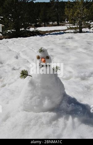 Ein Schneemann auf einem schneebedeckten Berg. Farben des Winters Stockfoto