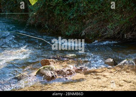 Bach mit ruhigem und transparentem Wasser, kleinem Wasserfall, Vegetation und hellem Licht Stockfoto