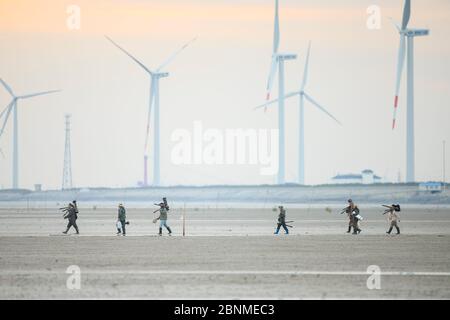 Chinesische Vogelfotografen auf den Rudong-Schlammfetten auf der Suche nach vom Aussterben bedrohten Arten Löffelschnabelläufer (Calidris pygmaea) Es gibt ein Gen Stockfoto