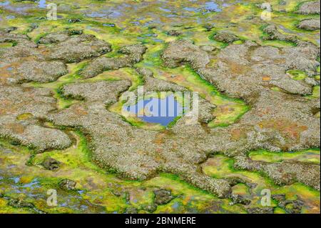 Yukon Delta Tundra Feuchtgebiet Antenne im Herbst. Alaska. September. Stockfoto