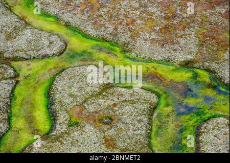 Yukon Delta Tundra Feuchtgebiet Luftaufnahme im Herbst Yukon Delta National Wildlfie Refuge, Alaska, USA, September. Stockfoto