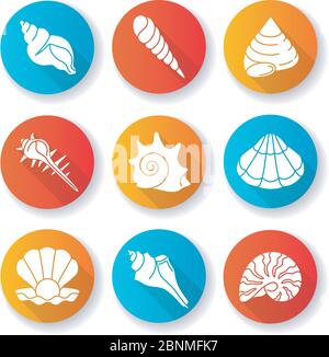 Meer Muscheln flaches Design lange Schatten Glyphe Symbole gesetzt. Verschiedene Muscheln, Conchologie Aquatische Souvenirs, Muscheln Sammlung. Verschiedene cockleshell Silhouette RGB-Farben Illustrationen Stock Vektor