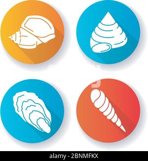 Verschiedene Muscheln flaches Design lange Schatten Glyph Symbole gesetzt. Exotische Muscheln Sammlung, Conchologie Triton Trompete, Auster, Schnecke und oben Schnecke Muscheln Silhouette RGB-Farbe Illustration Stock Vektor