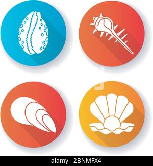Verschiedene Muscheln flaches Design lange Schatten Glyph Symbole gesetzt. Muschelschalen Kollektion, Conchology Offene Muschel mit Perle, Stachelmuschel, Kaurie und Kegelschalen Silhouette RGB-Farbabbildungen Stock Vektor
