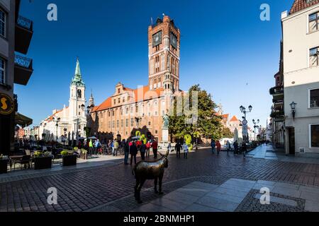 Europa, Polen, Woiwodschaft Kujawien-Pommern, Torun / Thorn - Marktplatz und gotisches Altstädter Rathaus Stockfoto