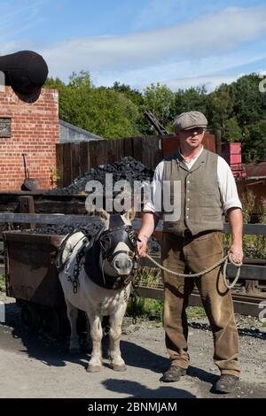 Ein Shetland Pony, in vollem Bergbau-Geschirr, wird von einem Bergmann, in Beamish, dem North of England Open Air Museum, in der Nähe von Stanley, County Durham, England, UN geführt Stockfoto