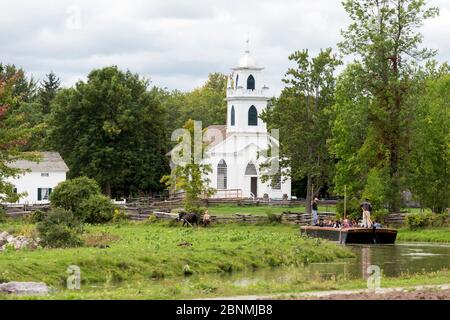 Der kanadische Pferdewallach fährt ein Passagierboot im Upper Canada Village Museum, Morrisburg, Ontario, Kanada. September 2016. Stark Gefährdet Stockfoto