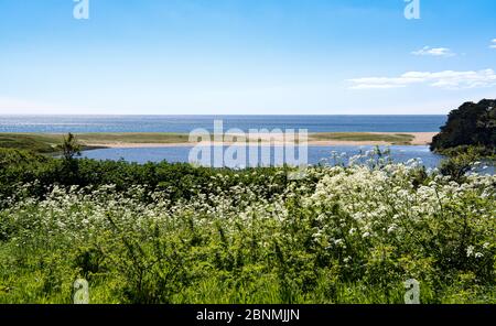 Penrose ist eine Mischung aus reichen Ackerland und Wäldern rund um Cornwalls größten natürlichen See, Loe Pool. Stockfoto