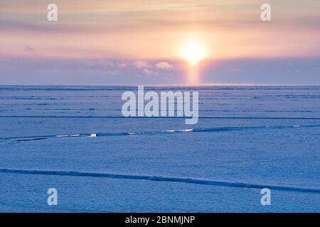 Mitternachtssonne über Eisfeld im späten Winter, Spitzbergen, Norwegen, April. Aufgenommen am Tag der ersten Mitternachtssonne des Jahres. Stockfoto