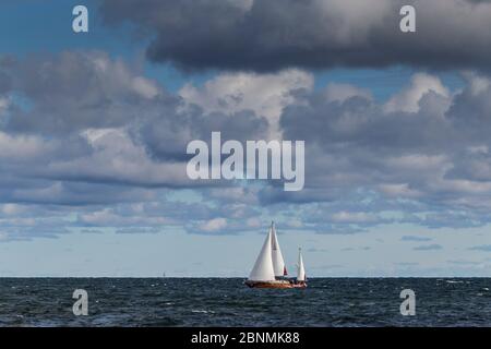 Europa, Polen, Pommern, Gdingen Stockfoto