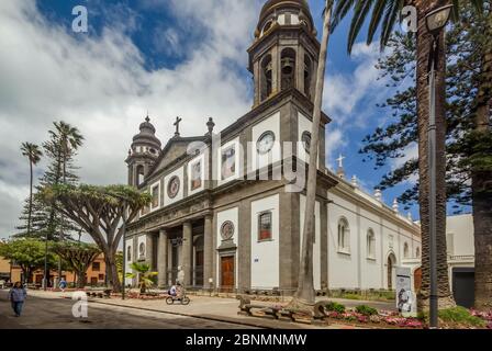 SAN CRISTOBAL DE LA LAGUNA, SPANIEN - 16. JUNI 2015: Kathedrale von San Cristobal de la Laguna. Alte Drachenbäume vor dem Haupteingang. Touristen und l Stockfoto