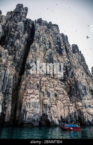 Touristenboot zur Beobachtung der Brunnich-Guillemoten (Uria lomvia), Nistplätze, Vogelfelsen von Alkefjellet, Meerenge Hinloopen, Svalbard, Norwegen. Juli. Stockfoto