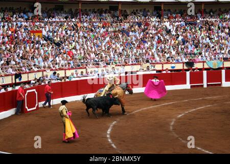 Picador oder Lancer auf dem Pferderücken mit schwarzem Bullen, der Santander auflädt Kantabrien Spanien 21. Juli 2009 Stockfoto