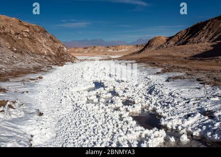 Ein Salzfluss - Temperaturen über 38 Grad, Tal der Salzkordillere, San Pedro de Atacama, Atacama Wüste, Chile (Höhe 2443 m über dem Meeresspiegel Stockfoto