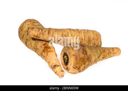 Pastinaken (Pastinaca Sativa) Stockfoto