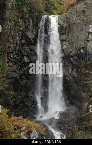 Ffrwd Fawr bei Dylife, Mid Wales. Stockfoto