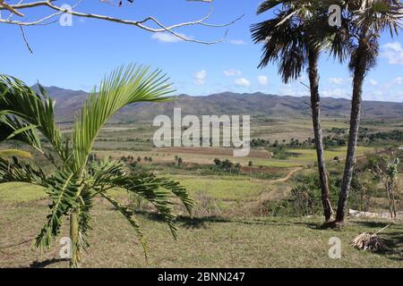 Blick auf das Valle de los Ingenios (Tal der Zuckermühlen) von der Manaca Iznaga Plantage in der Nähe von Trinidad, Kuba. Stockfoto