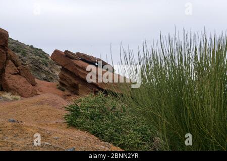 Orangefarbene Lavasteine von La Palma Stockfoto