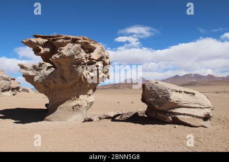 El Árbol de Piedra (der Steinbaum) im Nationalpark Eduardo Avaroa Anden Fauna National Reserve im Südwesten Boliviens. Stockfoto