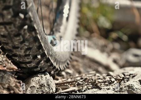 Nahaufnahme Fahrrad Rad mit Felge rollt über den Felsen auf Schotter. Unscharfer Hintergrund bei Tageslicht. Stockfoto