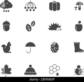 Schwarze Symbole im Herbst. Verschiedene Silhouetten von Herbstsymbolen Stock Vektor