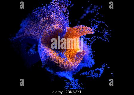Blau und orange leuchtende Wolke Computing mit Partikeln. Coronavirus-Konzept. Vom Computer generierter abstrakter Hintergrund. 3d-Illustration Stockfoto